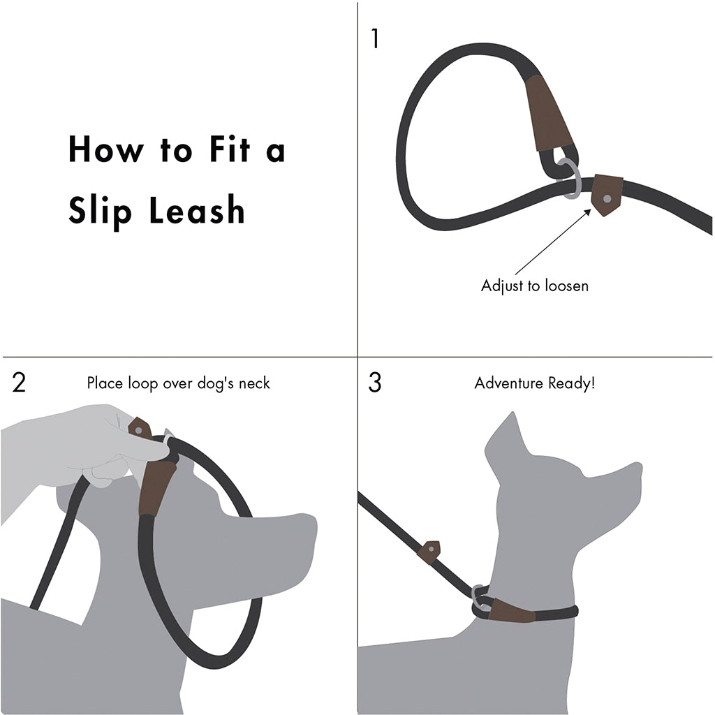 Slip Lead Dog Leash | 6 Feet Dog Rope Leash - Durable/Grey