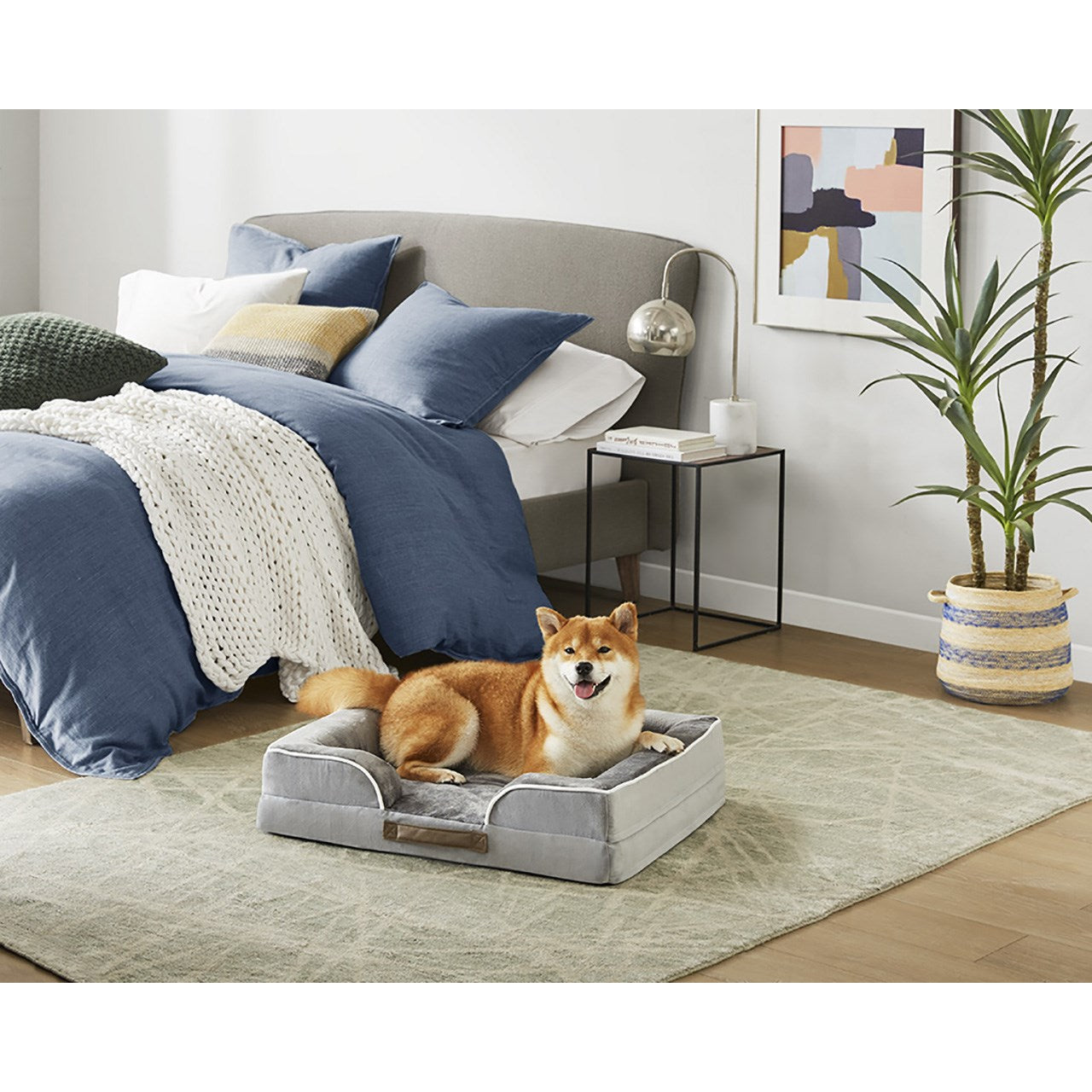 Orthopedic Dog Bed & Cat Bed | Dog Couch with Foam Bolster - Ally/Grey