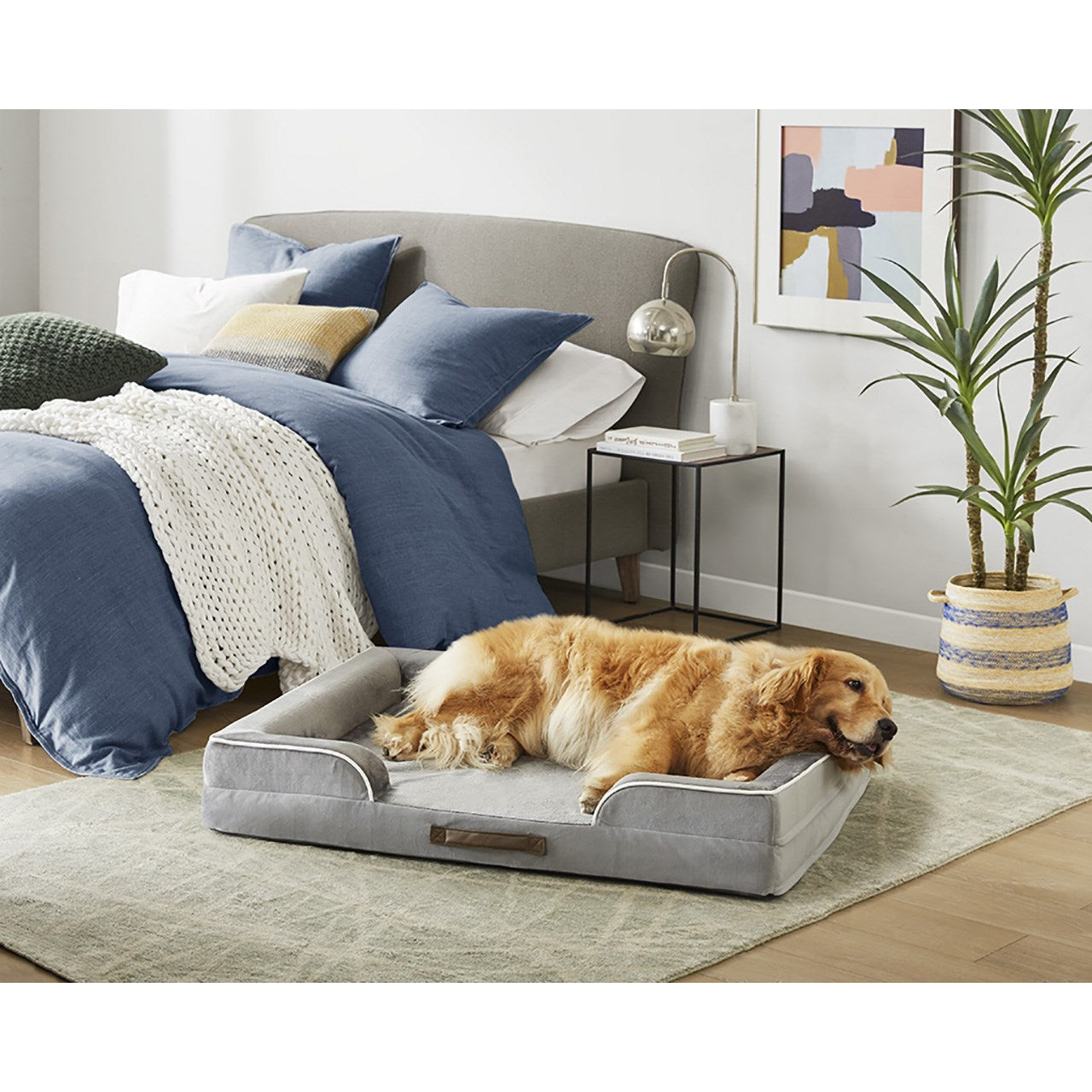 Orthopedic Dog Bed & Cat Bed | Dog Couch with Foam Bolster - Ally/Grey