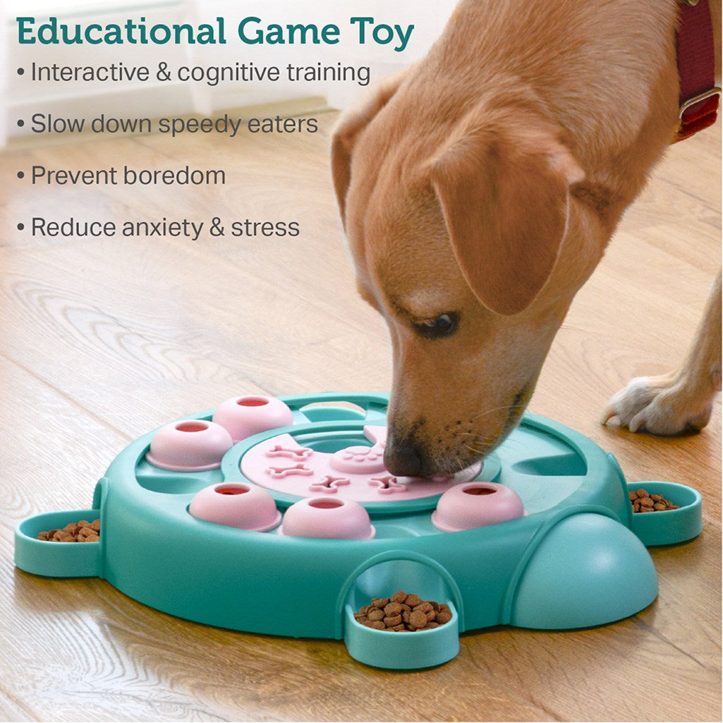 Dog Puzzles Toys with Slower Feeder | Treat Dispensing Dog Toys - Tortoise