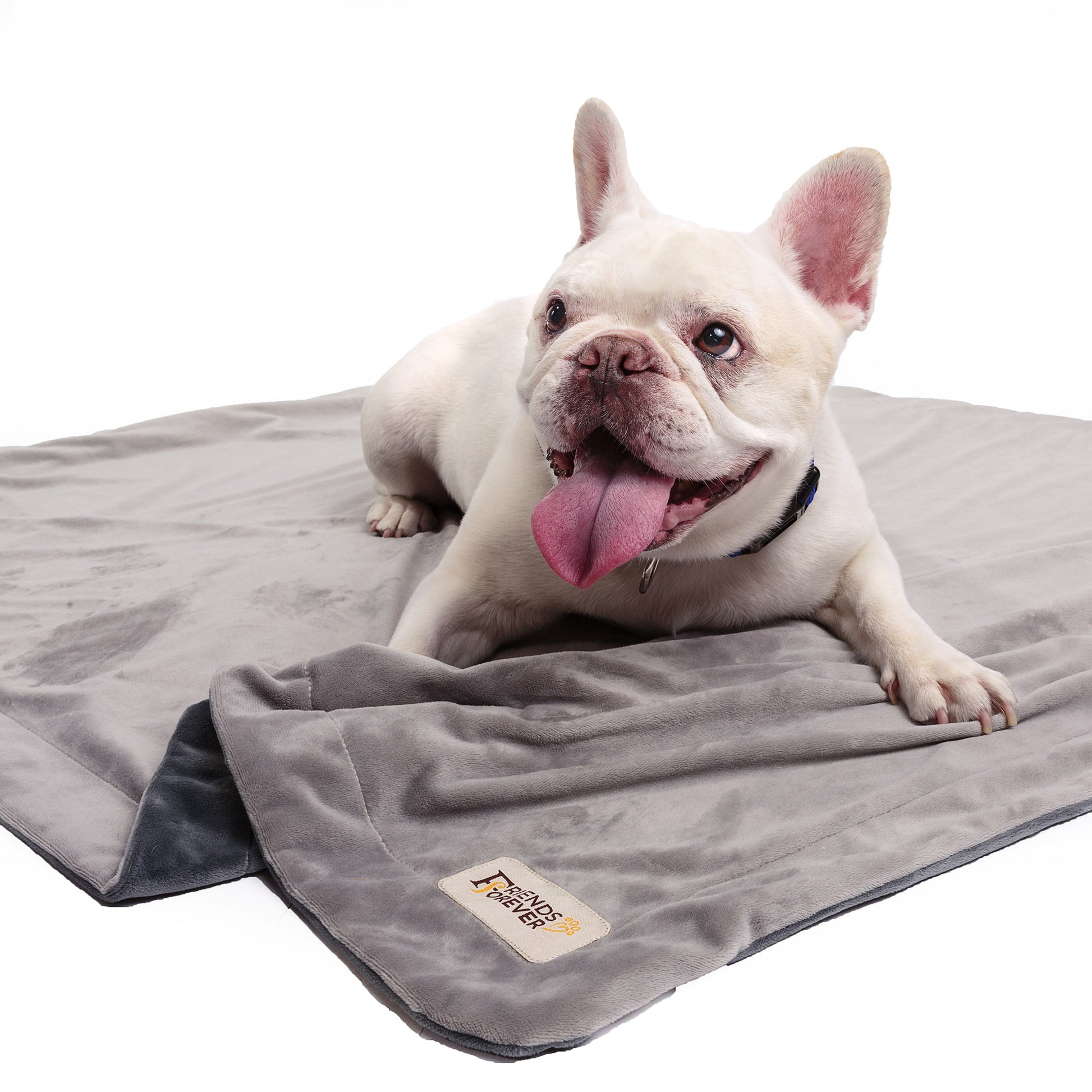 Dog Blanket for Couch Protection | Reversible Pet Hair Resistant Dog Throw - Bailey