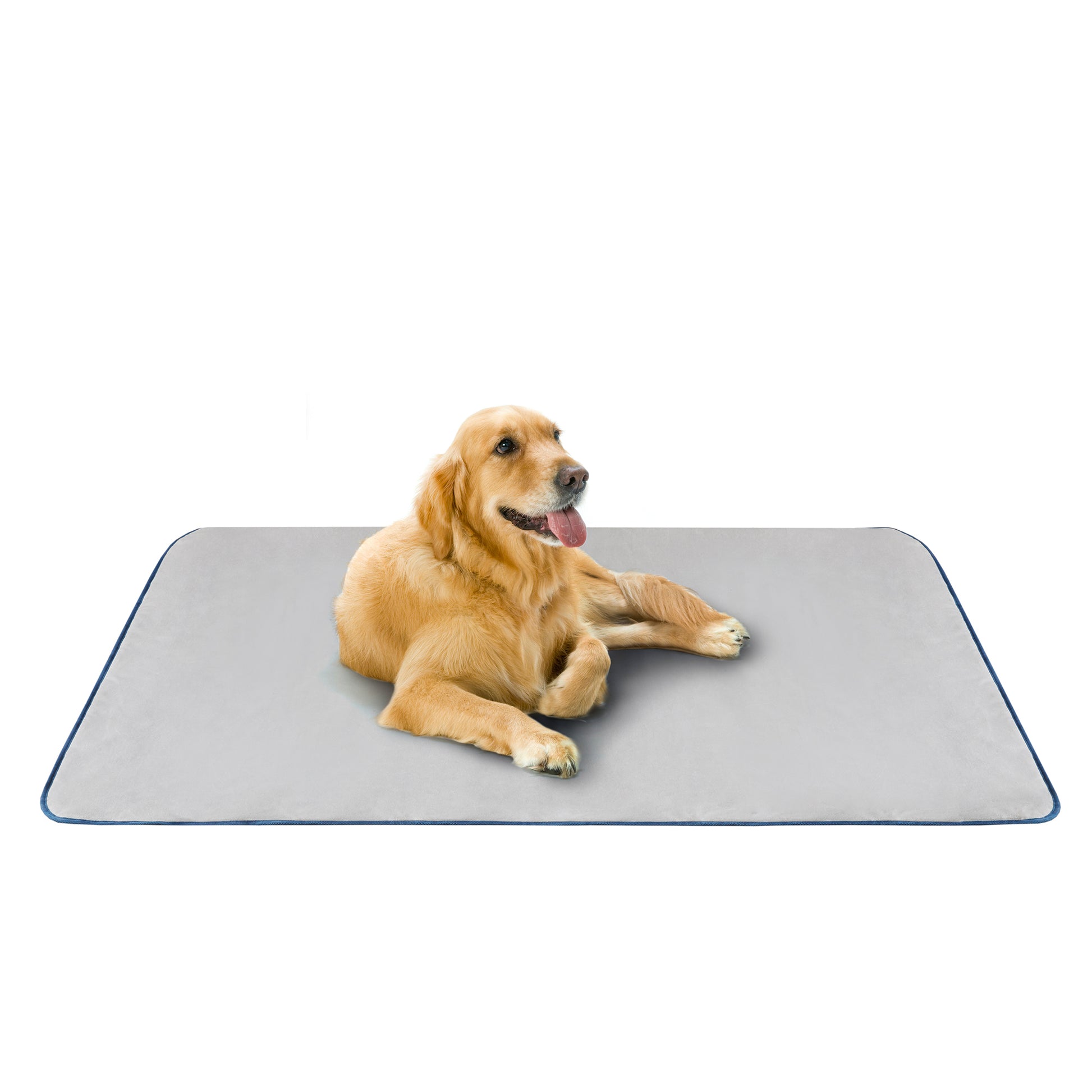 Dog Travel Mat Water Resistant L Foldable Dog Travel Mat L Compact L Ultra Lightweight Dog Travel Mat