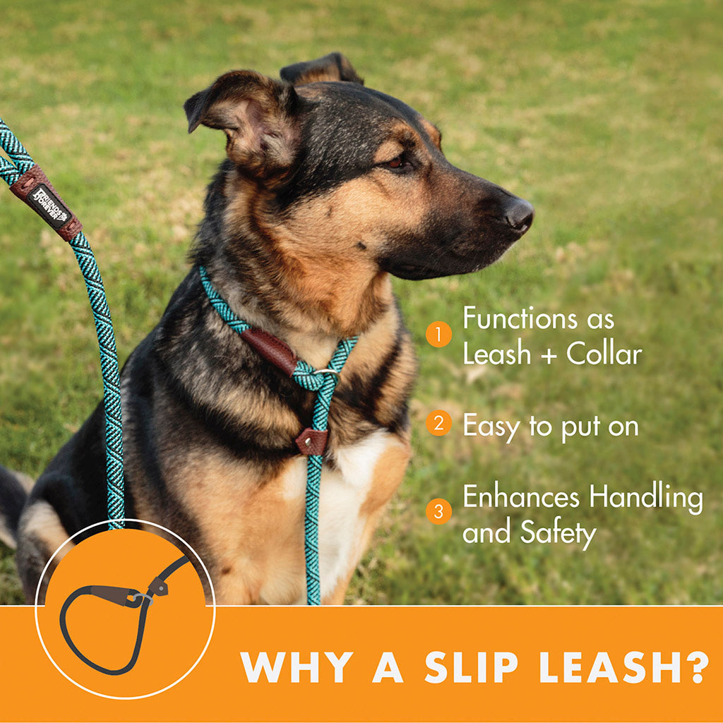 Slip Lead Dog Leash | 6 Feet Dog Rope Leash - Durable/Green