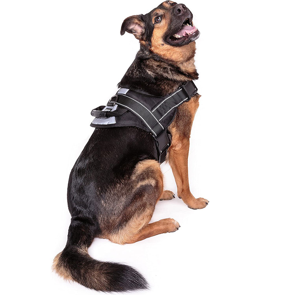 No Pull Dog Harness with Handle | Reflective Adjustable Dog Vest