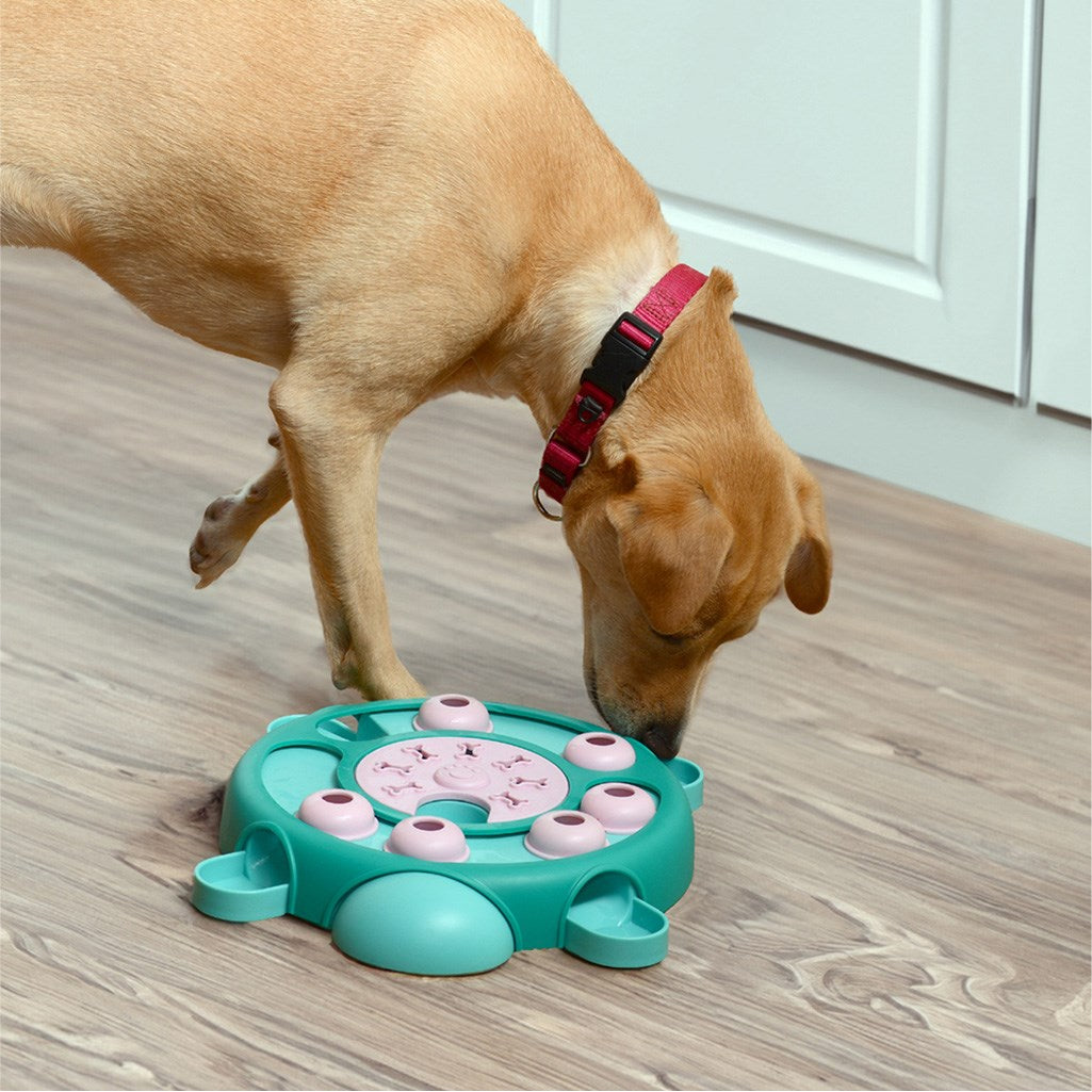 Dog Puzzles Toys with Slower Feeder  Treat Dispensing Dog Toys - Tortoise-Dog  Toy – Friends Forever Pets